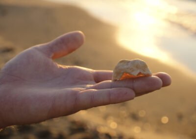 a person's hand holding a piece of shell on the beach in Zakynthos island