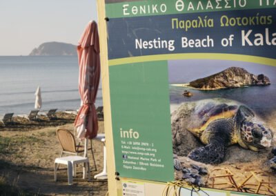 Kalamaki beach in the National Marine Park of Zakynthos beach ,there is a green and yellow sign in front of it with the ocean in the background