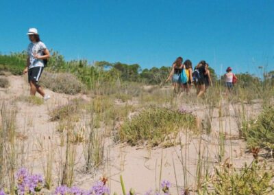 alt="people walk through the sand near purple flowers and green vegetation and bushes, with a clear blue sky in Zakynthos island's Sand Dunes