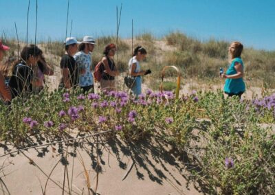 a group of people are walking up a beach hill side of some sand dunes surrounded by purple flowers